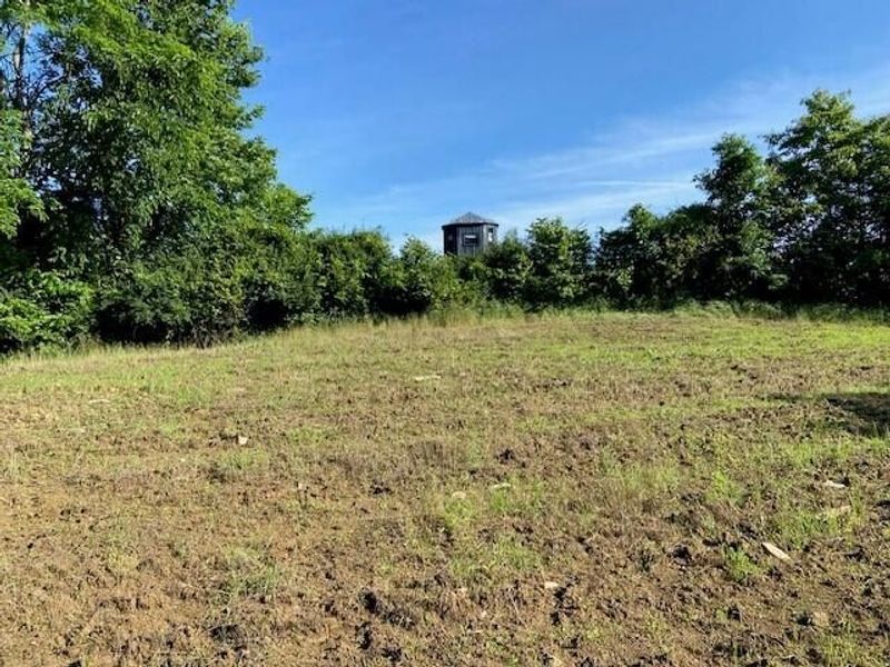 0 Mann Road, Mount Olivet, KY 41064 Photo 22