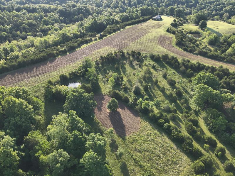 0 Mann Road, Mount Olivet, KY 41064 Photo 27