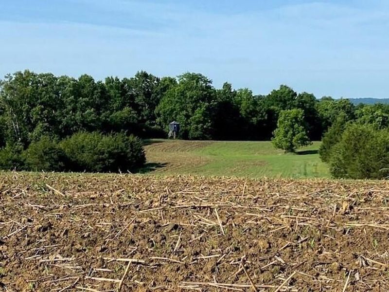 0 Mann Road, Mount Olivet, KY 41064 Photo 28