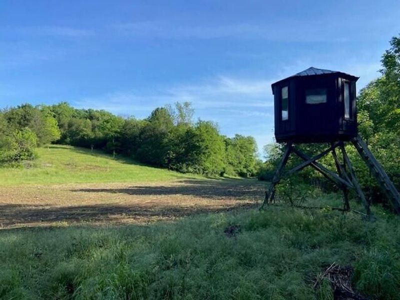 0 Mann Road, Mount Olivet, KY 41064 Photo 3
