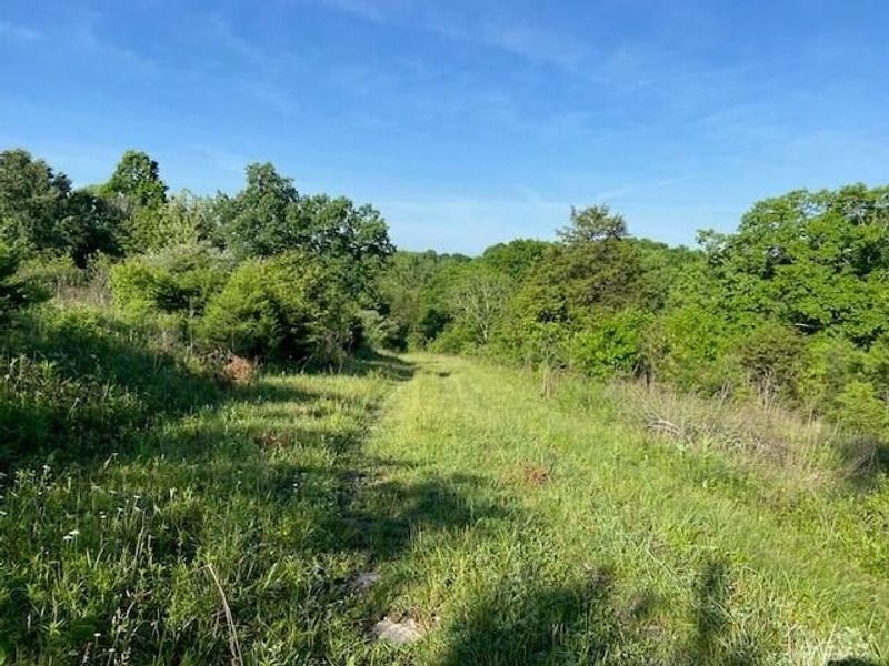 0 Mann Road, Mount Olivet, KY 41064 Photo 8