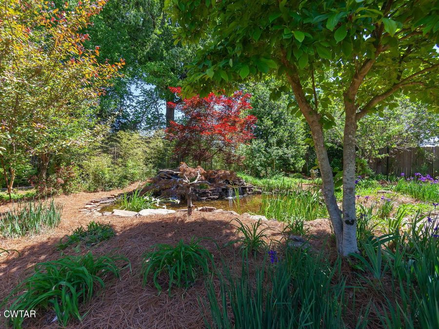 Property Image 47