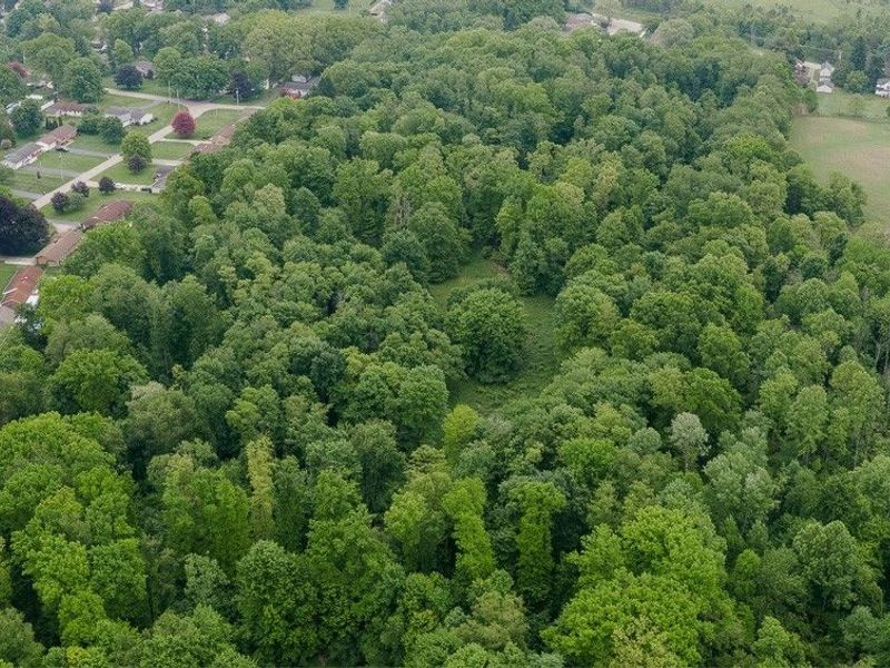Chestnut Ridge Road SE, Masury, OH 44438 Photo 9