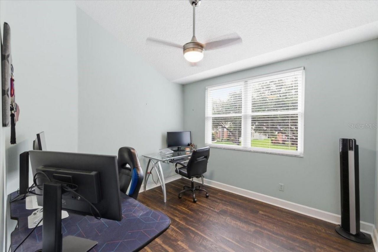 14518 Nettle Creek Road, Tampa, FL 33624 Photo