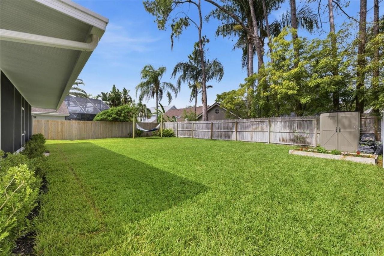 14518 Nettle Creek Road, Tampa, FL 33624 Photo