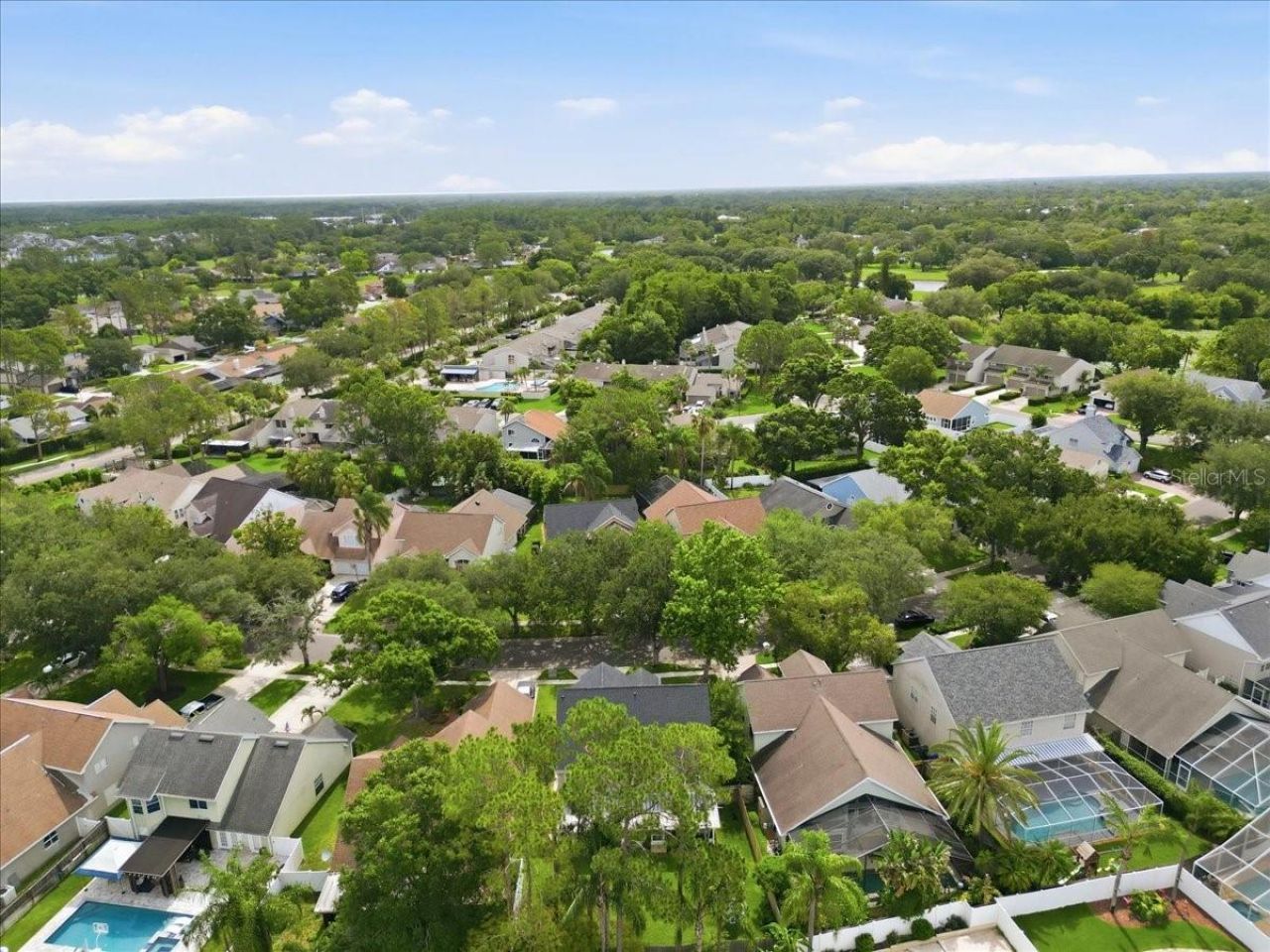 14518 Nettle Creek Road, Tampa, FL 33624 Photo