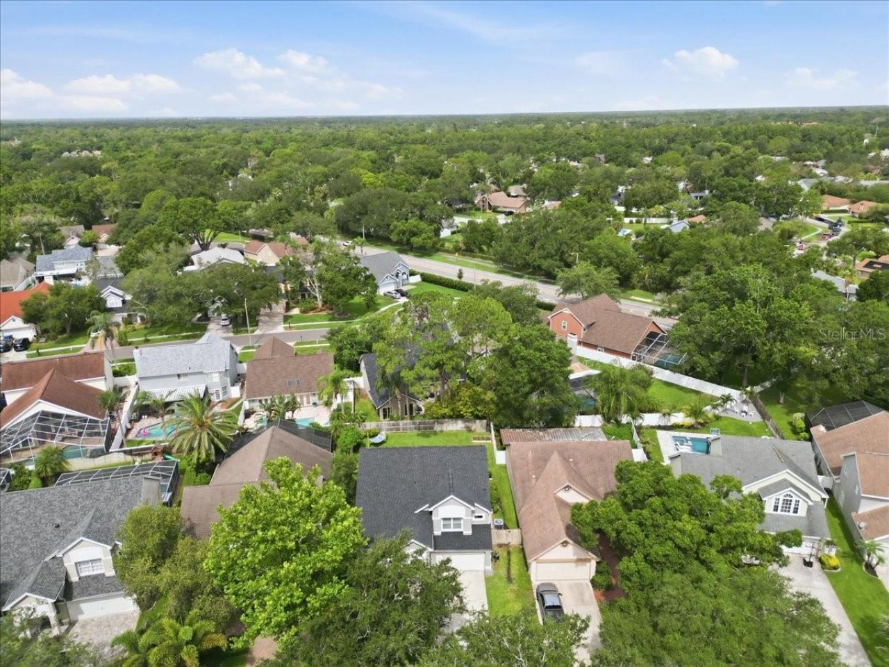 14518 Nettle Creek Road, Tampa, FL 33624 Photo