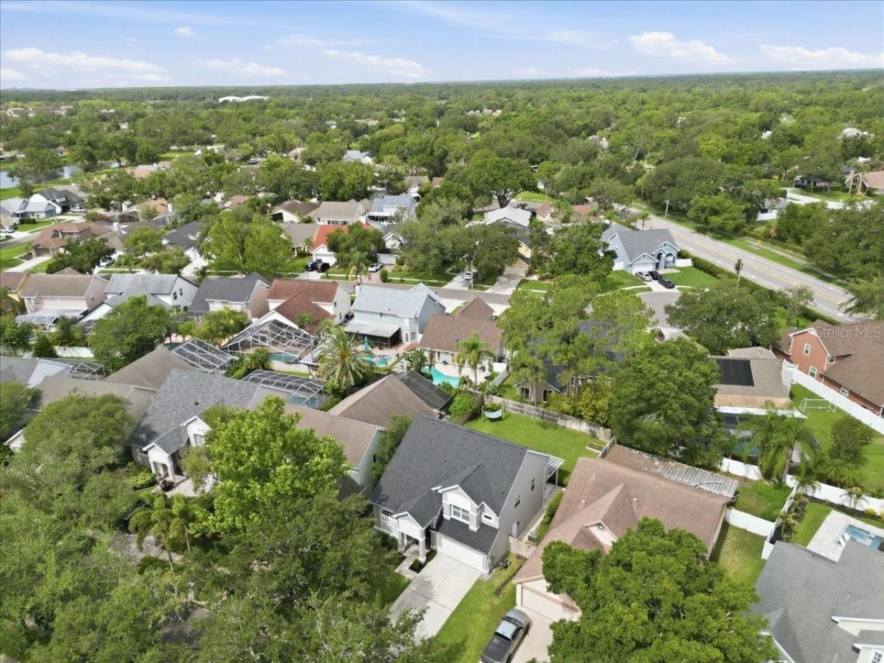 14518 Nettle Creek Road, Tampa, FL 33624 Photo