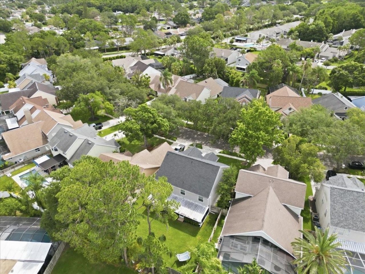 14518 Nettle Creek Road, Tampa, FL 33624 Photo
