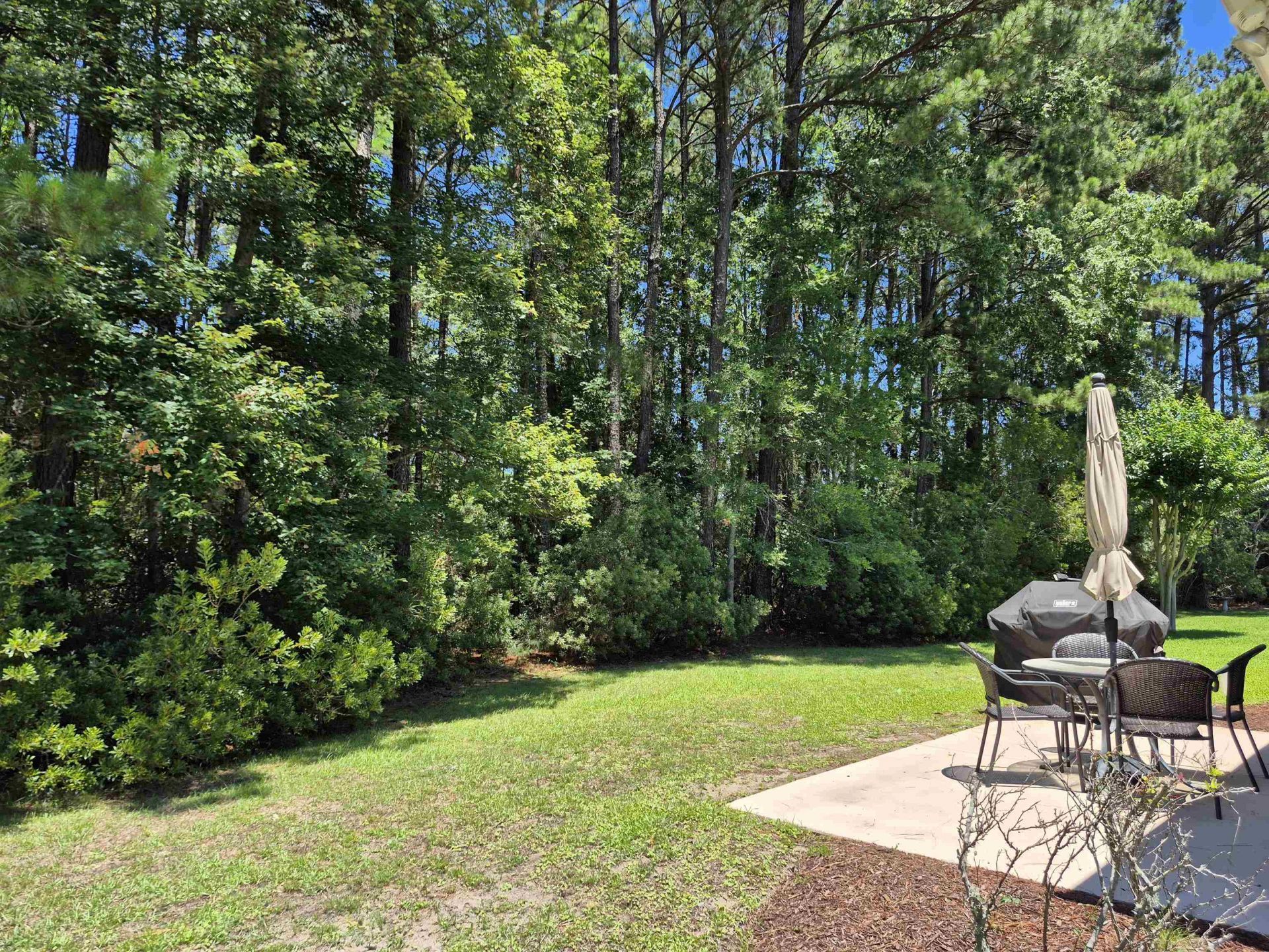 900 Helms Way  Photo 16