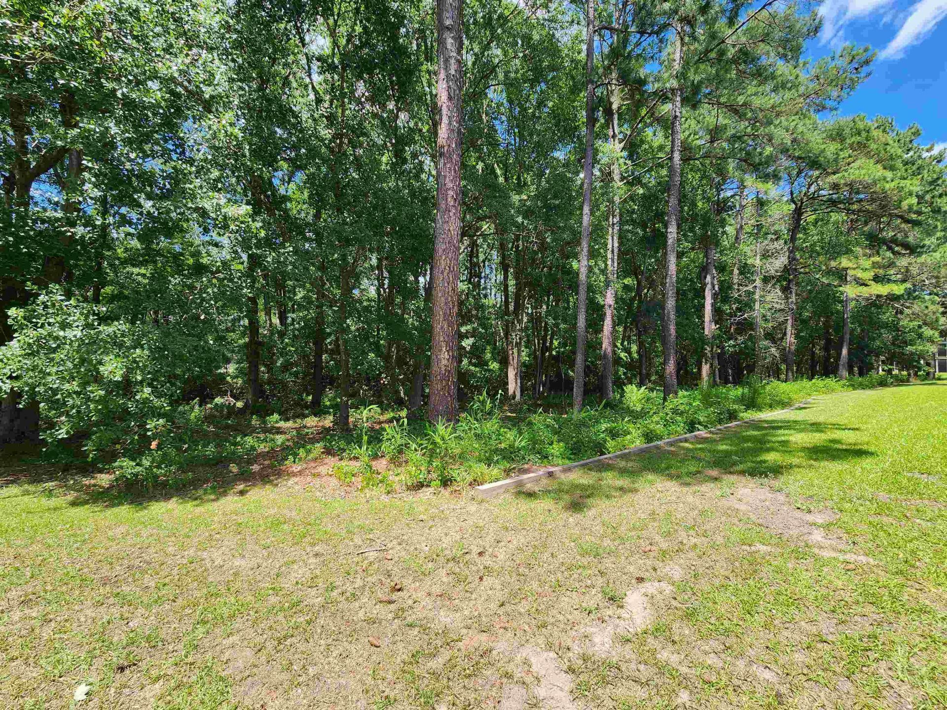 4846 Meadowsweet Dr.  Photo 46