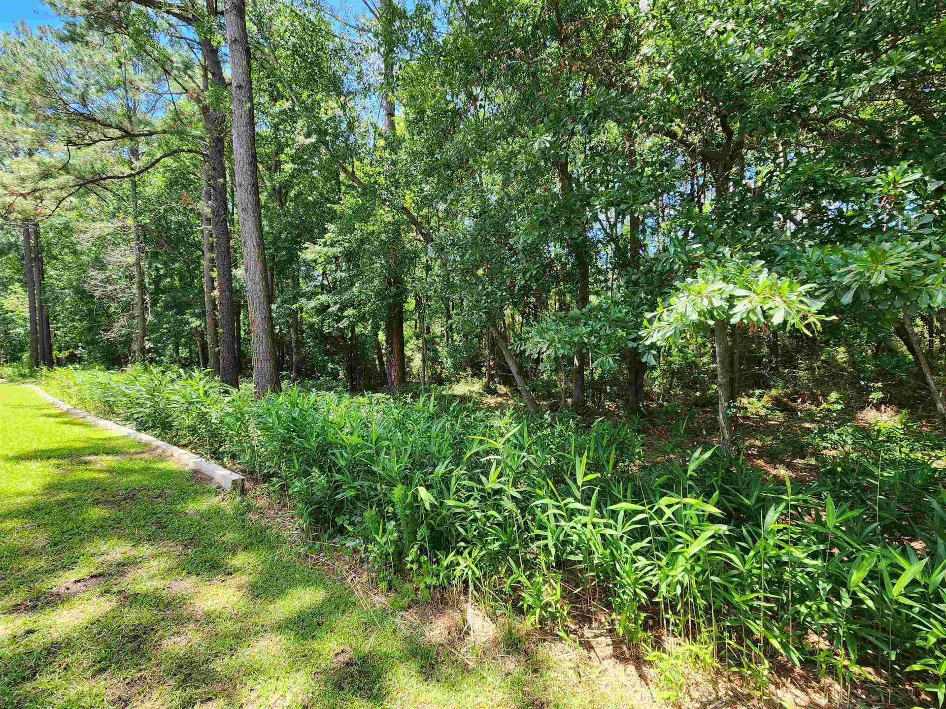 4846 Meadowsweet Dr.  Photo 47