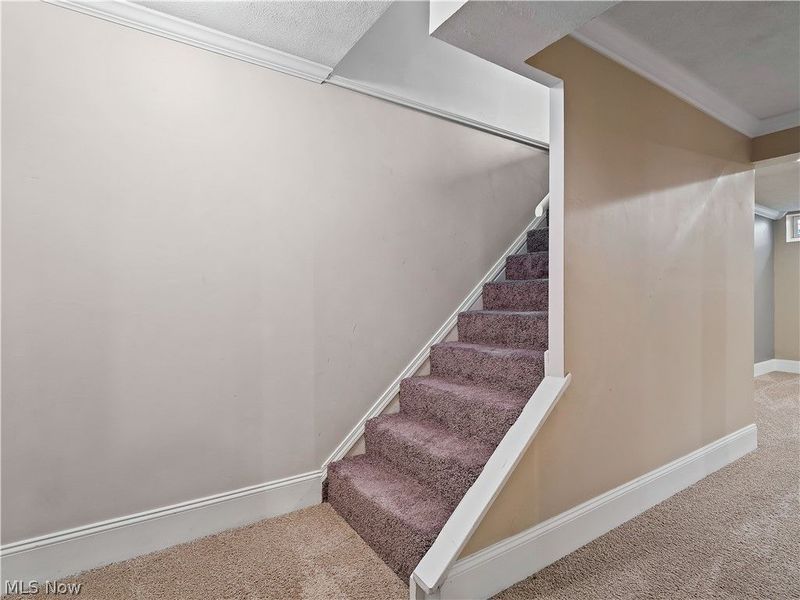 19301 Puritas Avenue, Cleveland, OH 44135 Photo 19