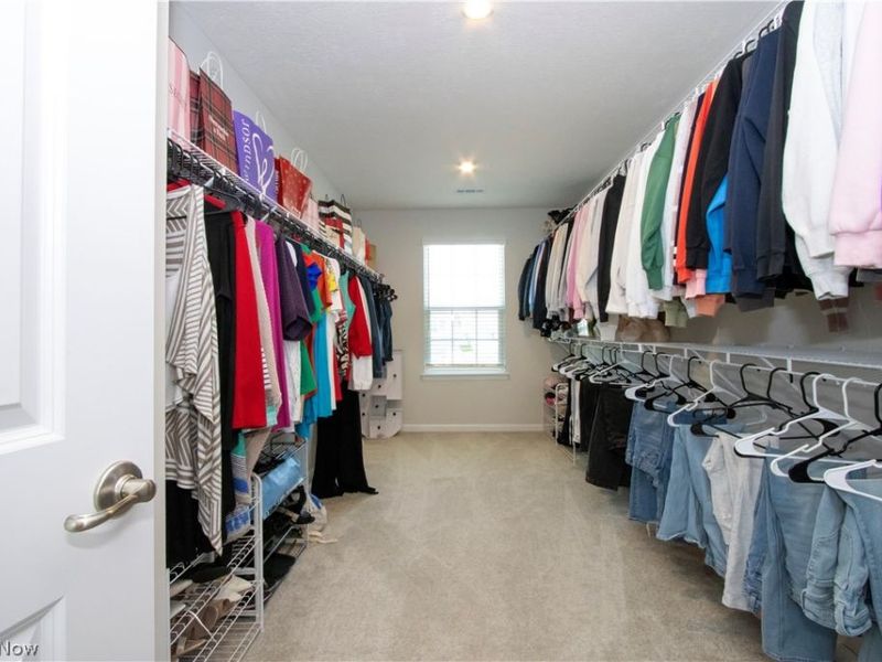 1191 Jesse Owens Drive , Wooster, OH 44691 Photo 30