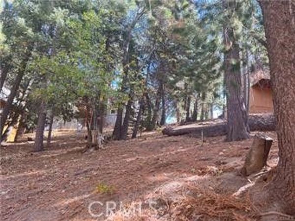 0 Encina , Running Springs, CA 92382