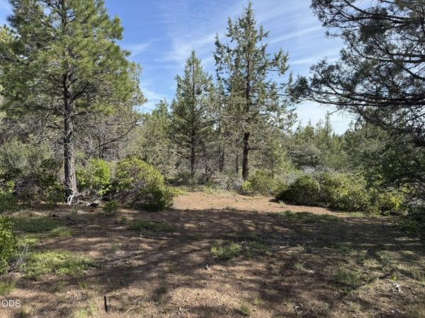 0 Porpoise Lane, Unit Lot 29, Bonanza, OR 97623