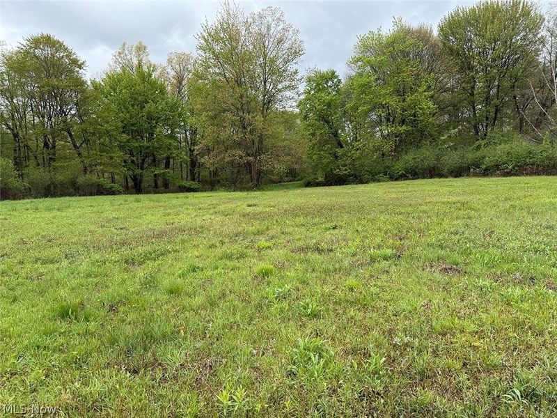 Catherine SE, Masury, OH 44438 Photo 14