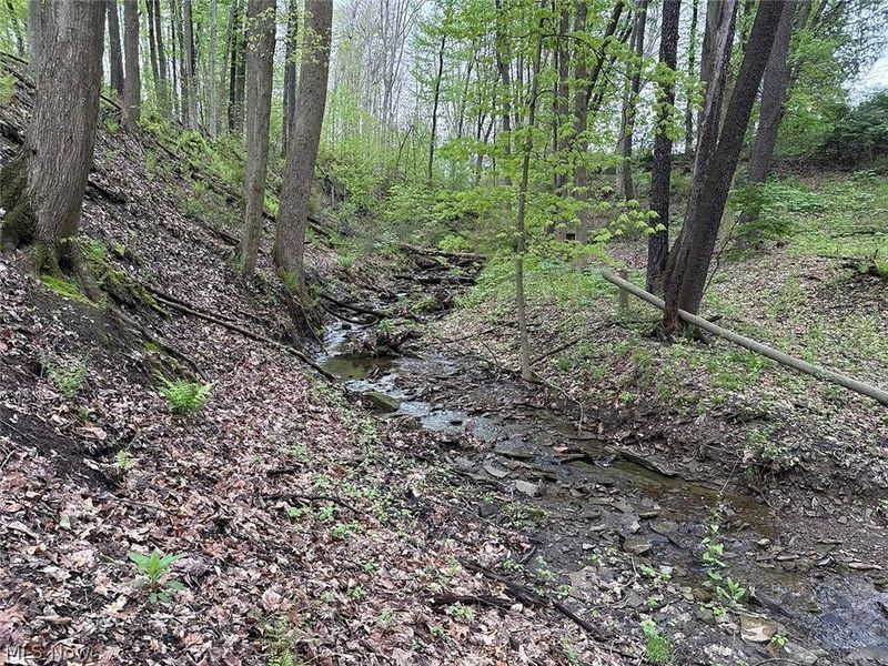 Catherine SE, Masury, OH 44438 Photo 15