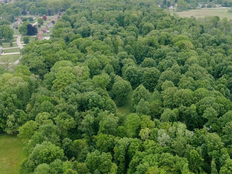 Catherine SE, Masury, OH 44438 Photo 2