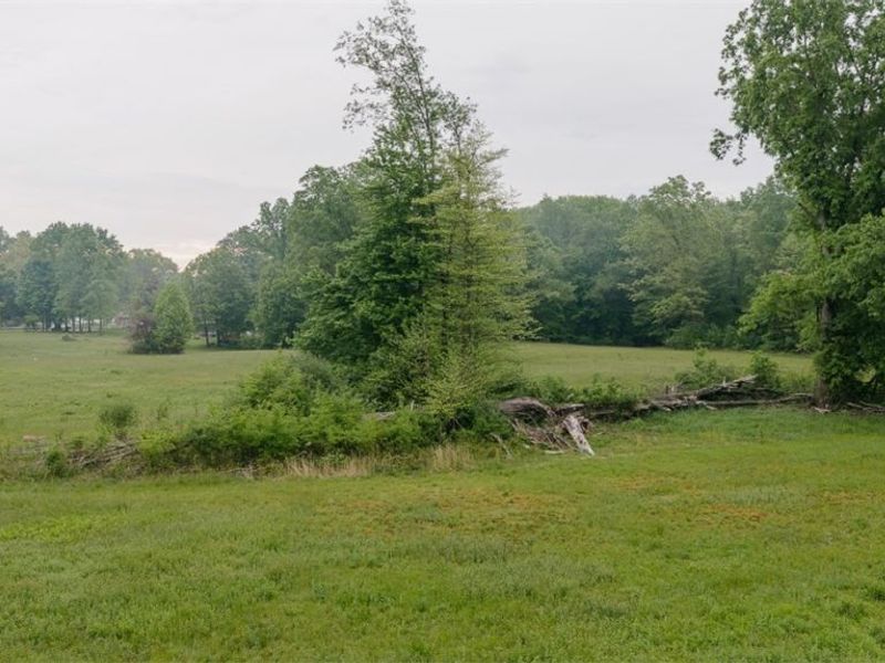 Catherine SE, Masury, OH 44438 Photo 6