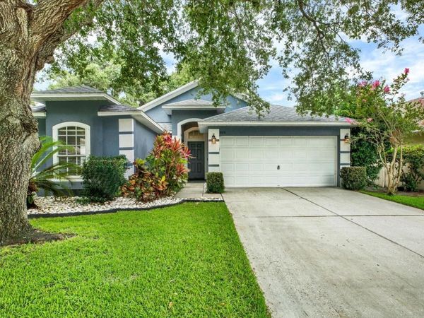 805 STRAW LAKE DRIVE , BRANDON, FL 33510