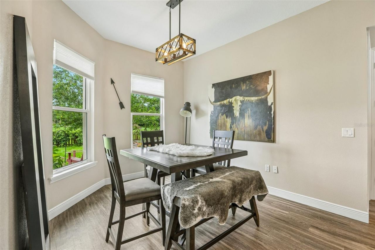 9876 Pangola Loop , Land O Lakes, FL 34639 Photo