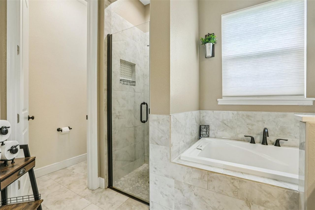 9876 Pangola Loop , Land O Lakes, FL 34639 Photo