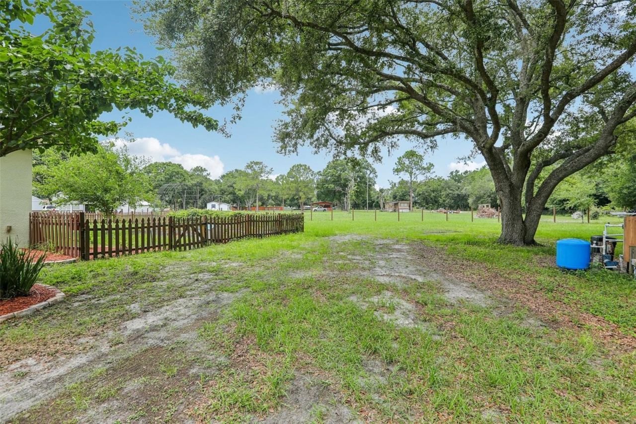 9876 Pangola Loop , Land O Lakes, FL 34639 Photo