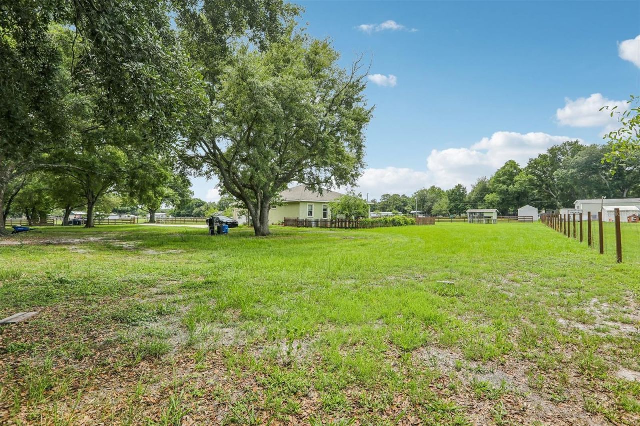 9876 Pangola Loop , Land O Lakes, FL 34639 Photo