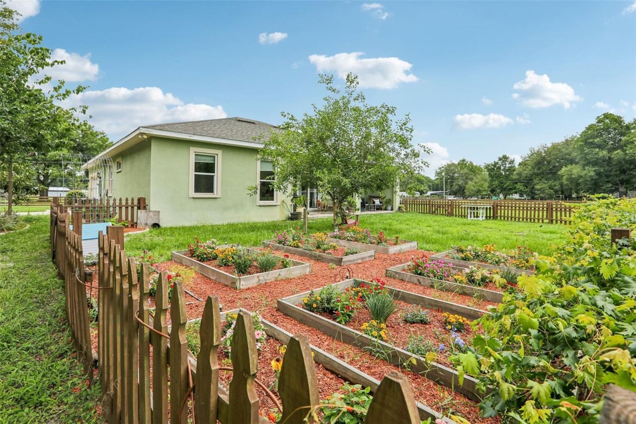 9876 Pangola Loop , Land O Lakes, FL 34639 Photo