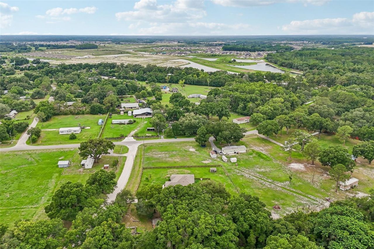 9876 Pangola Loop , Land O Lakes, FL 34639 Photo