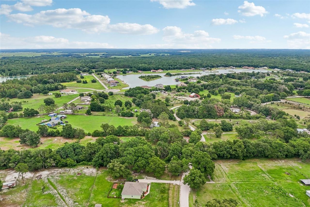 9876 Pangola Loop , Land O Lakes, FL 34639 Photo