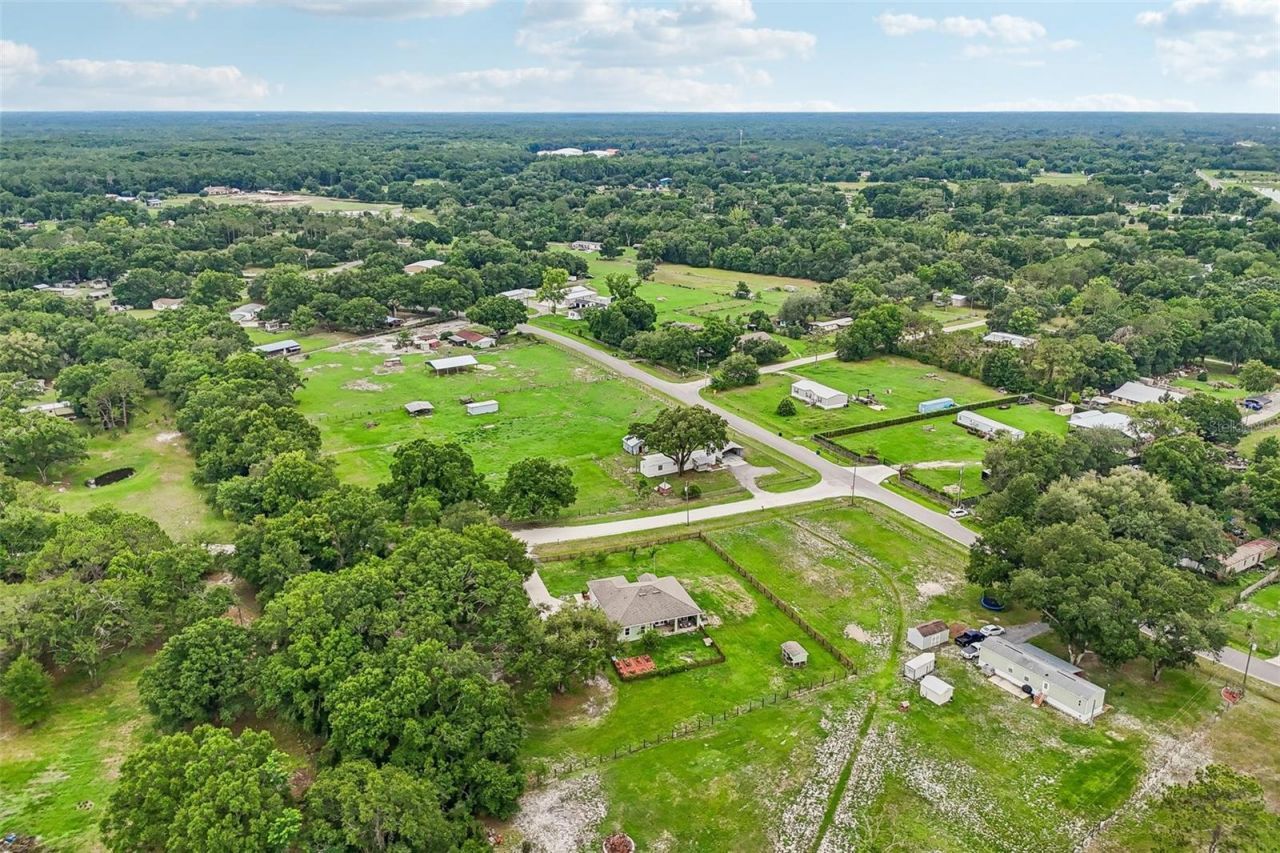 9876 Pangola Loop , Land O Lakes, FL 34639 Photo