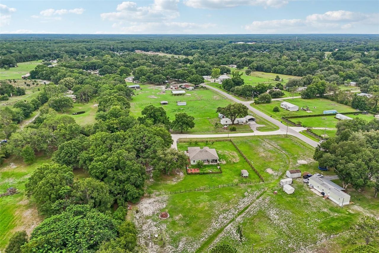 9876 Pangola Loop , Land O Lakes, FL 34639 Photo
