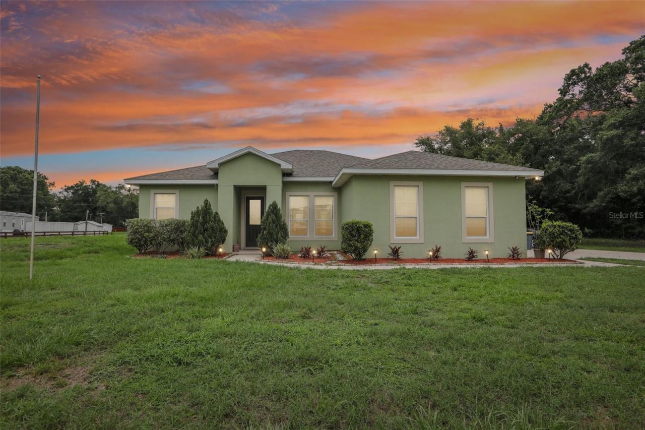 9876 Pangola Loop , Land O Lakes, FL 34639 Photo