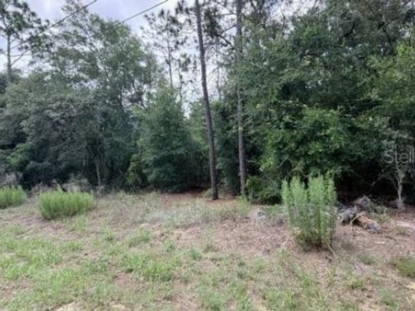 3223 E SCOFIELD ST , INVERNESS, FL 34453