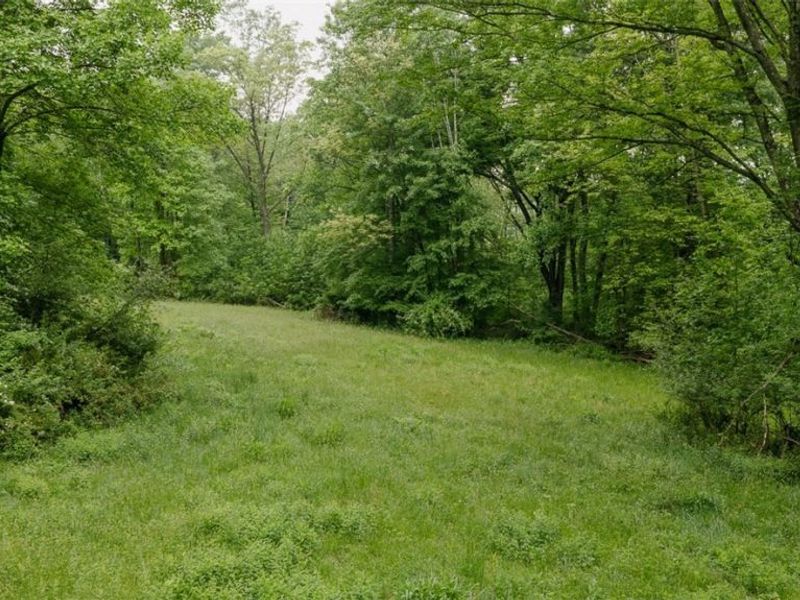Chestnut Ridge Ridge SE, Masury, OH 44425 Photo 4