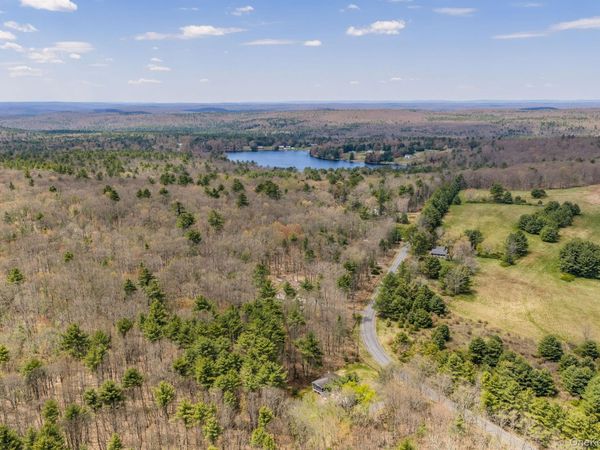 Lot 20.8 Airport Road , Eldred, NY 12732