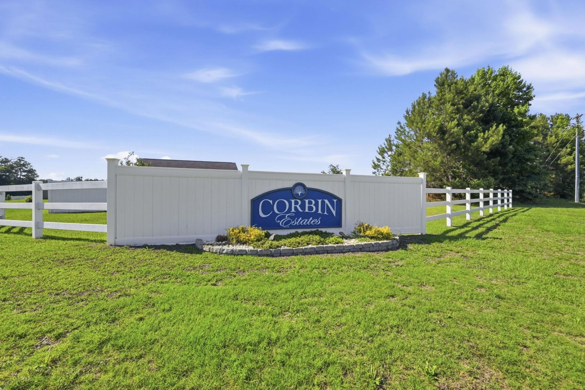 142 Corbin Tanner Dr.  Photo 4