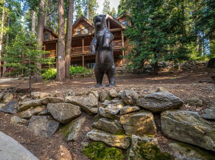3716 Shoshone Dr, Camp Connell, CA 95223 Photo