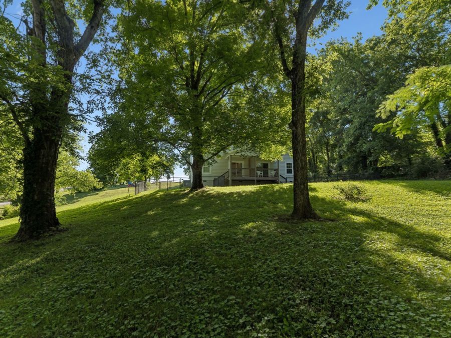 Property Image 61
