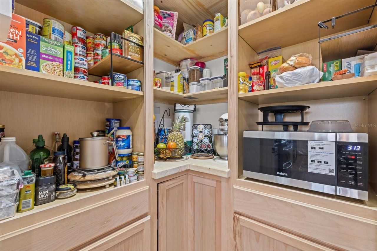 3613 Mossy Limb Court, Palmetto, FL 34221 Photo