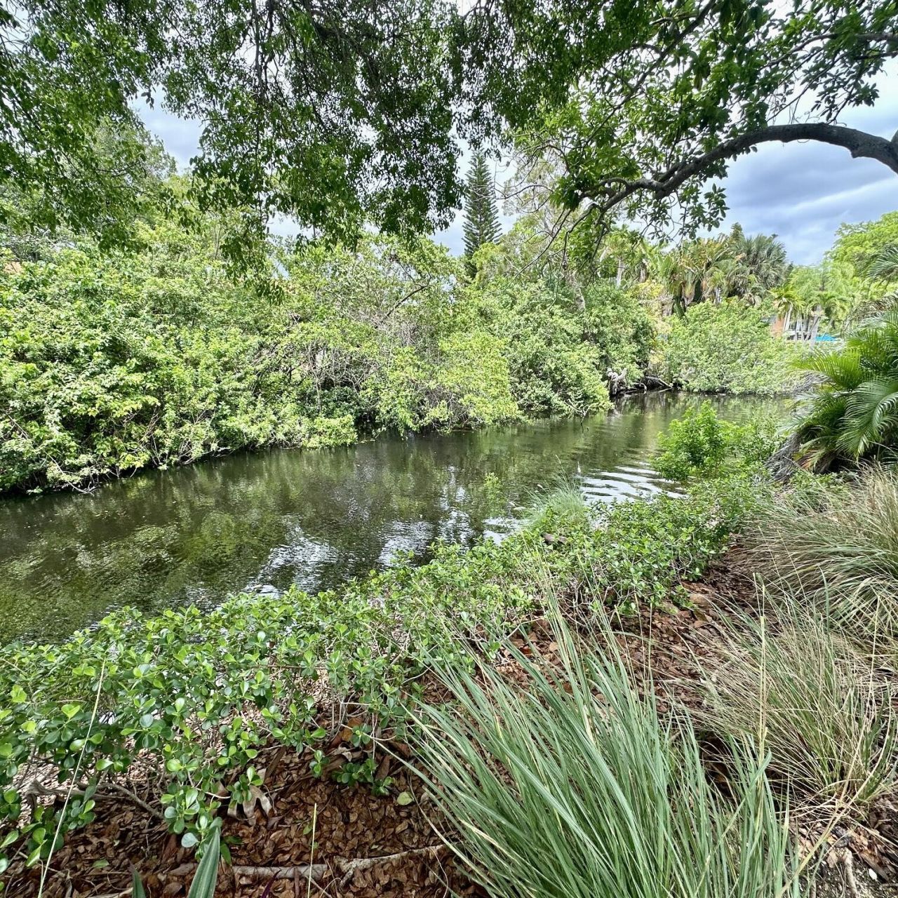 1800 N Andrews Avenue, Unit 2a, Fort Lauderdale, FL 33311 Photo
