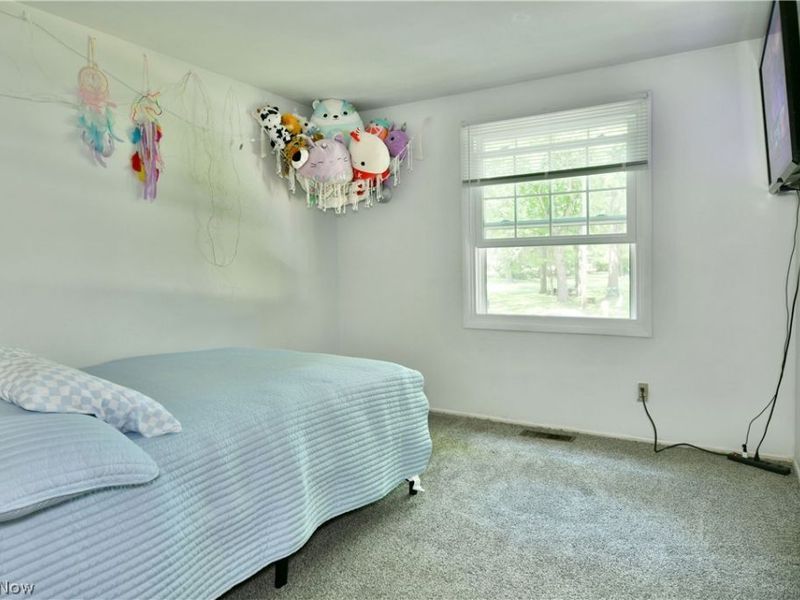 3710 Bellwood Drive SE, Warren, OH 44484 Photo 33