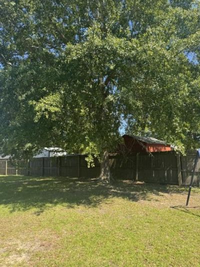 1032 Longleaf Drive Photo 33
