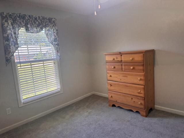 1032 Longleaf Drive Photo 4