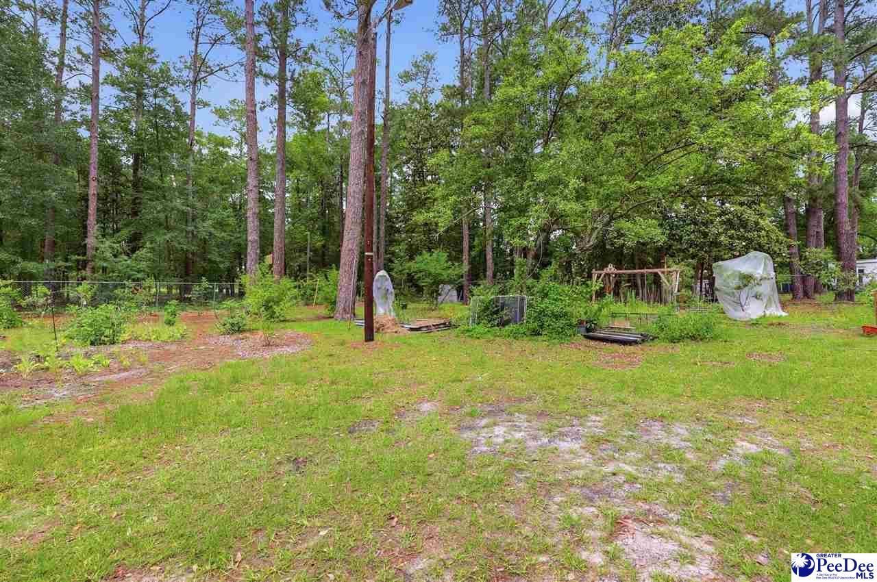 205 W Raft Street Photo 28