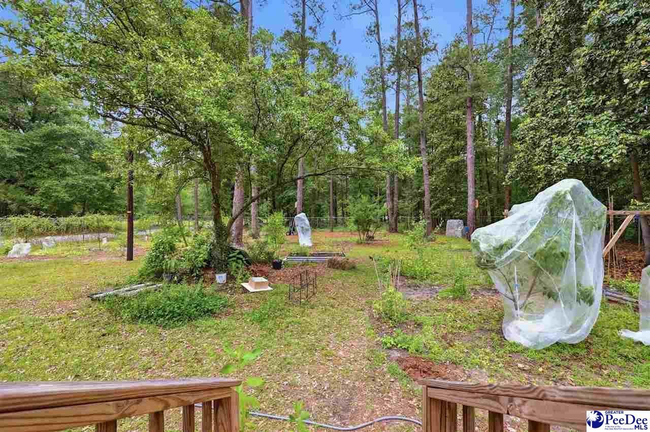 205 W Raft Street Photo 29