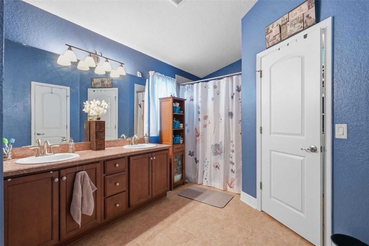 18436 Dajana Avenue, Land O Lakes, FL 34638 Photo