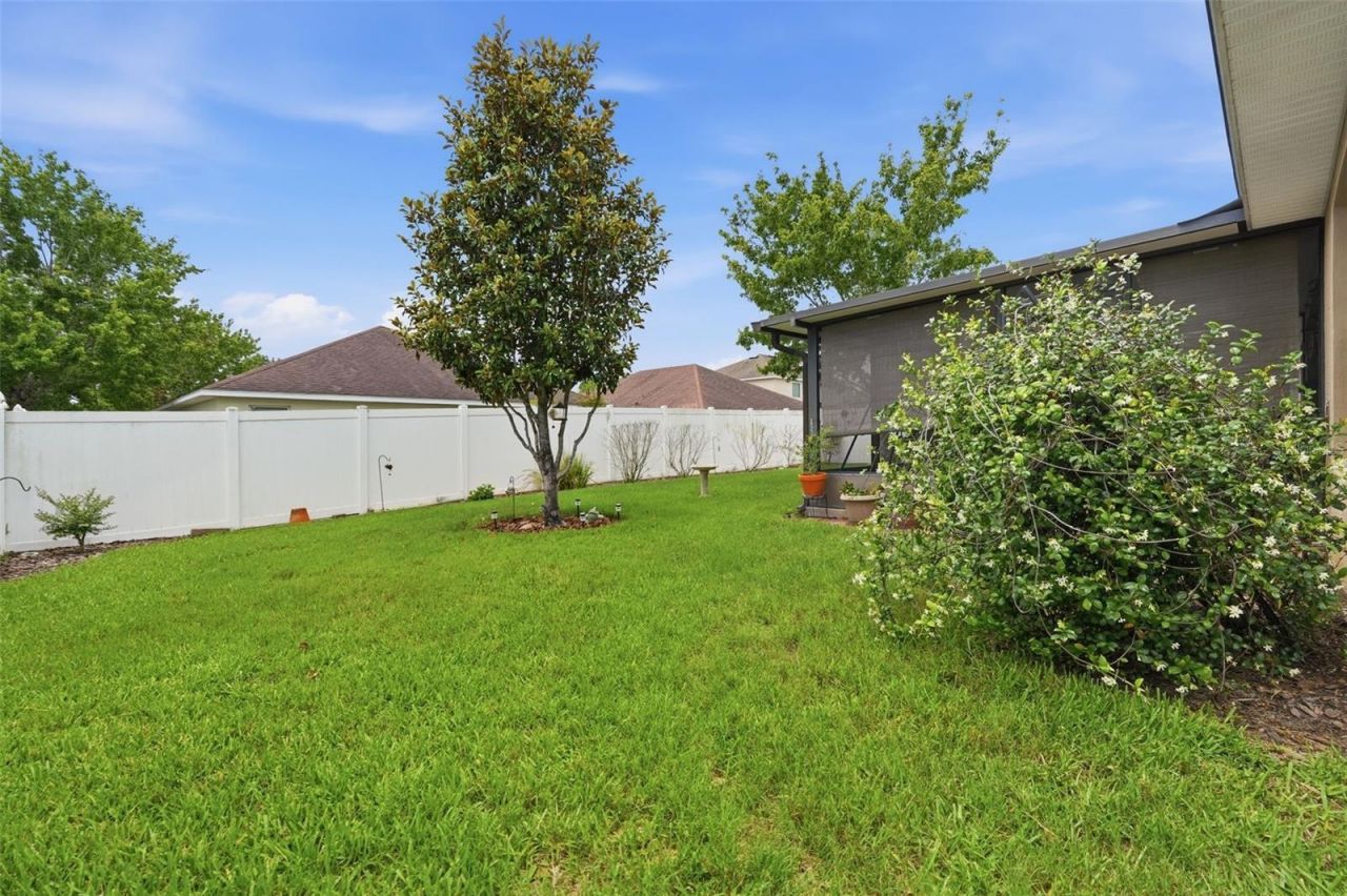 18436 Dajana Avenue, Land O Lakes, FL 34638 Photo
